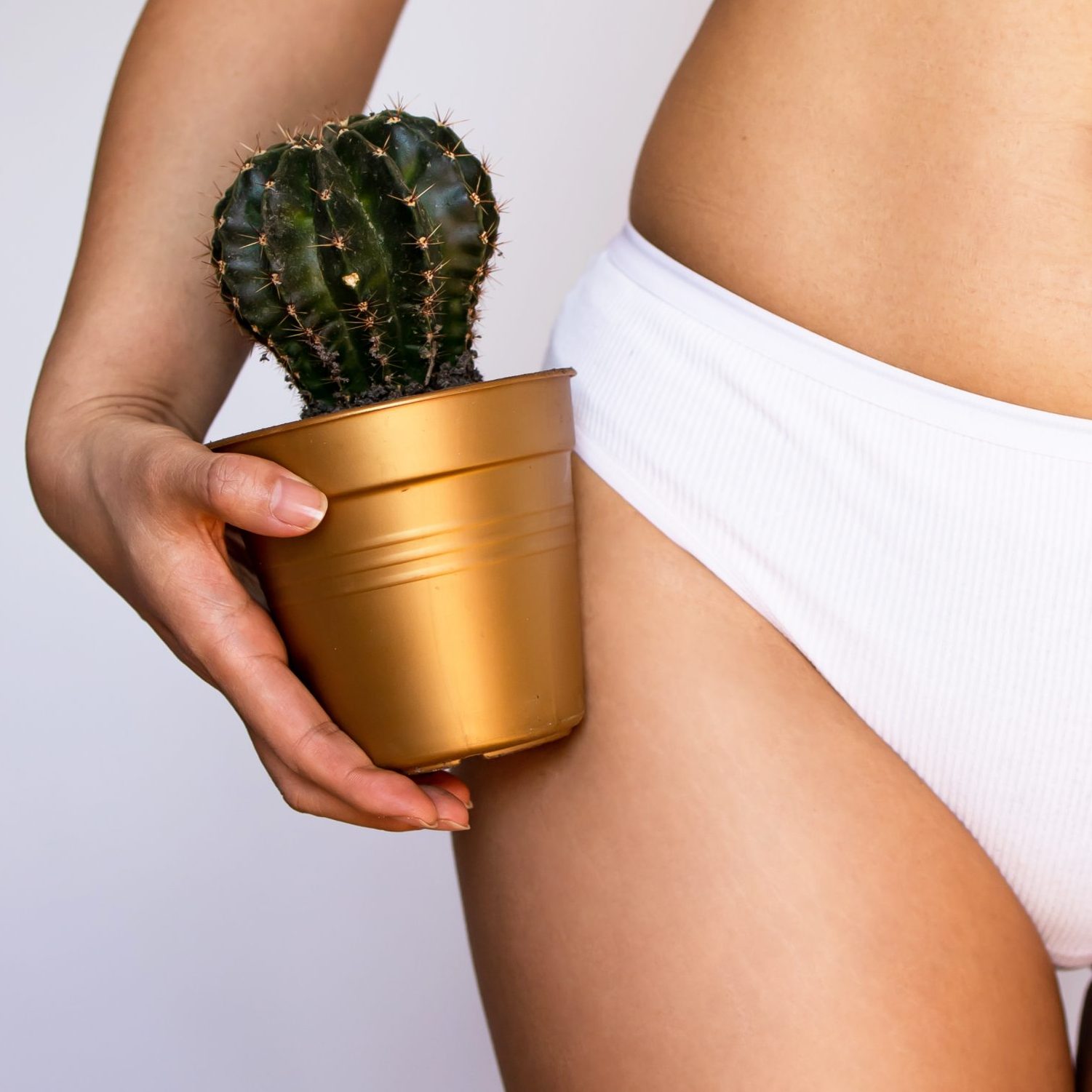 The girl holds a large cactus in the groin or bikini area. The concept of intimate hygiene, epilation and depilation, deep bikini shaving