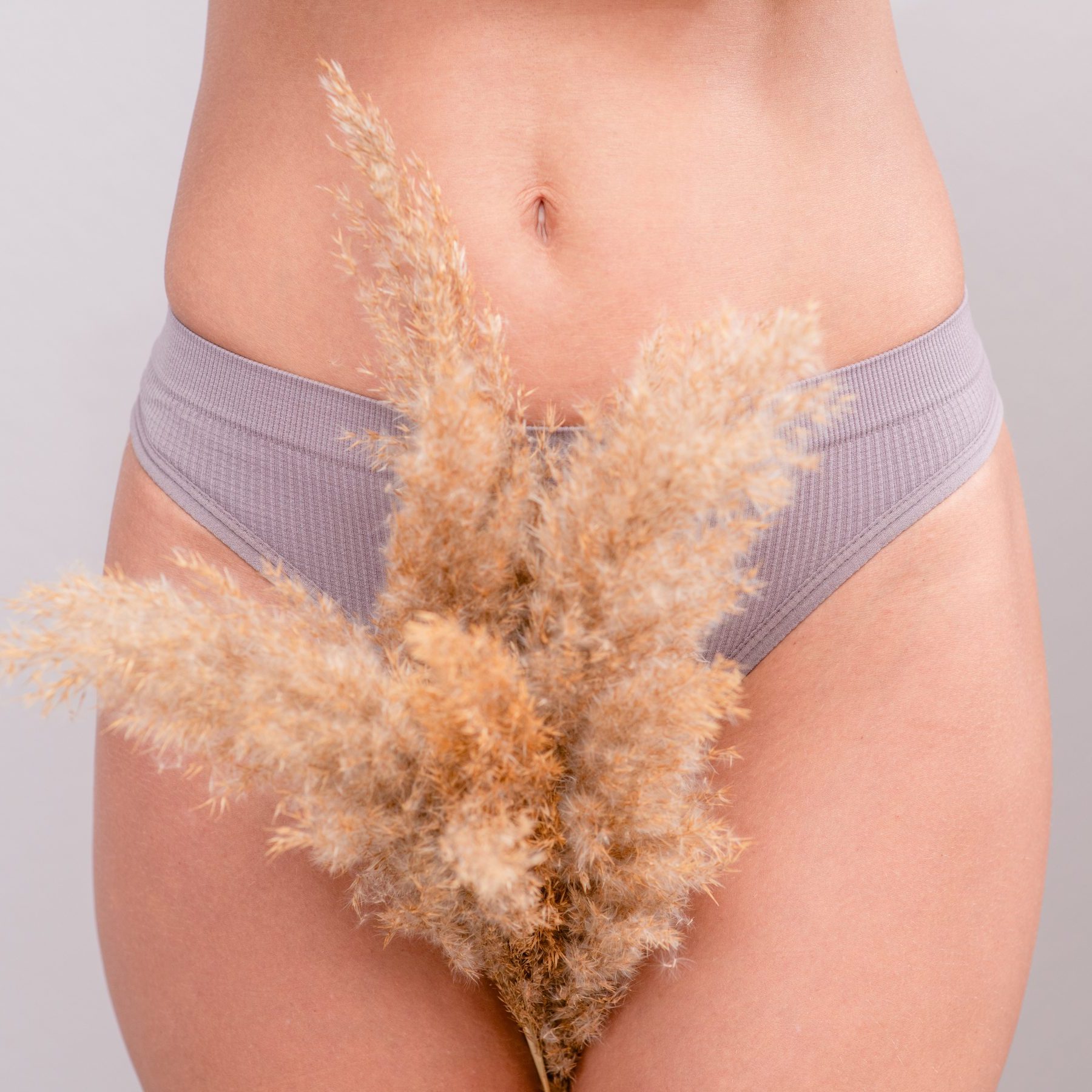 Beautiful young woman wearing gray underwear holds dry grass between legs. Hair removal of unwanted vegetation concept or refusal of depilation of the bikini zone.